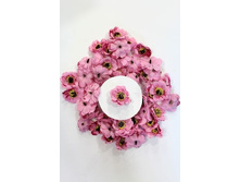 ������� ������������ ��� 4 ��, �������.