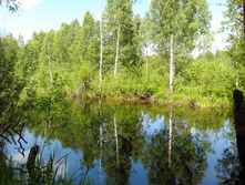 IMG 20170612 124649.jpg