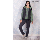 ��. ������ PP1-072