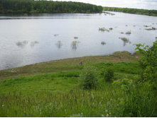 39.������� ��� ����.jpg