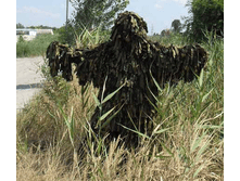 ����-�� ��� �������� 3500 ���. ���� ���������� 3300 ���.