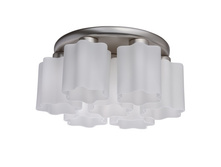 451011407 5300�.jpg