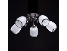 677011005 1400�.jpg