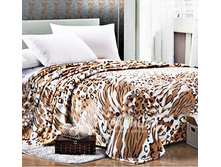 ���� �������.jpg