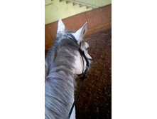 � ������ ��������� �����....