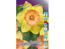 19,91���. ������� ������ ������(�������� ���� �� 10 ��.) �������� 5 ��..jpg