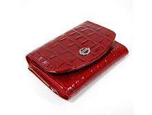 011053 big 06070150.jpg