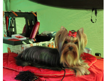 1-IMG 3450.JPG