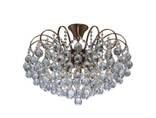 232016808 15800�.jpg