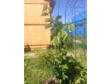 ������� 2