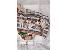 ��������� ������ ������ ������.JPG