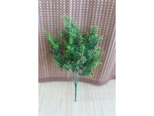 ��� ������ 49�. ��� - 2��.