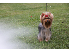 IMG 3190.JPG