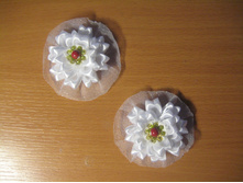 IMG 0035.JPG