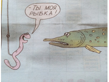 IMG 201706171 115105.jpg