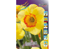 18,43���. ������� ������(�������� ���� �� 10 ��.) �������� 5 ��..jpg