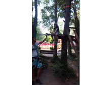 IMG 20170605 164812.jpg