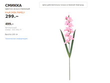 ������ 10335677.jpg