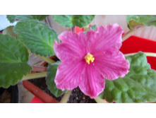 ��-�������(����� �������) 2014 �