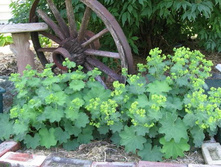 �������� ������ �������.jpg