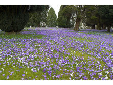 ������������ �����.jpg