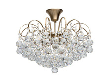 232016506 11100�.jpg