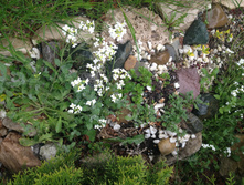 ������ ����������