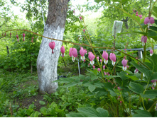 P1060293.JPG ��������(�������� ������)