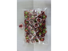 ������� �������� ������� ������-���������� 4,9� - ��. ��� 100��.