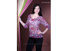 ����� PL2-078