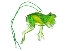 74 ���. - NEW GALAXY ������������ ������� ������� �������, ������ ������ GC