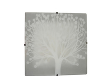 368010802 800�.jpg