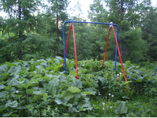 ������ � ������