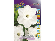 23,14���. ������� ���������(�������� ���� �� 7 ��.) �������� 6 ��..jpg