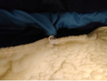 ���� 116, 3000�