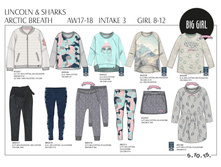 ARCTIC BREATH AW17-18 IN3 collection board REVISED.jpg