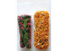 ������� � ��������� ���������, ���������, ���� �� �������� (144 ��)