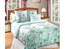 ��������� ���� ���� �������.jpg