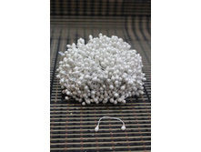 ������� ����� (���� �� ��������).