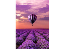 ���������� ���� ������ 48�70 Ag 4666.jpg