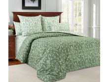 ��������� ���� �������.jpg