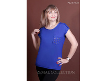 �������� PL2-874