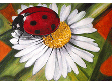 ������� � ������� ������ 27�19 Ag 4649.png