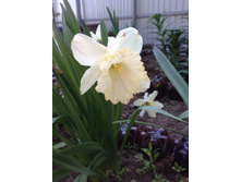 �������� ������ �����