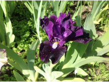 ���������� �� ������