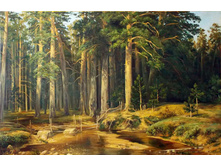 ����������� ����