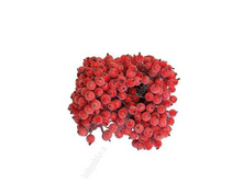 ������ �� ������� ��������, �����-������� (���� �� ��������, 400 ����)