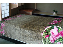 091 ��������� ����