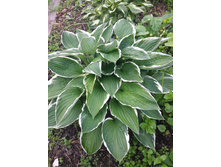 ����� ��������� '�������'