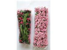 ������� � ��������� ���������, �������, ���� �� �������� (144 ��).